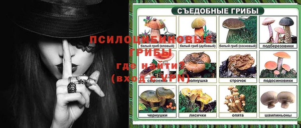 СК Зерноград