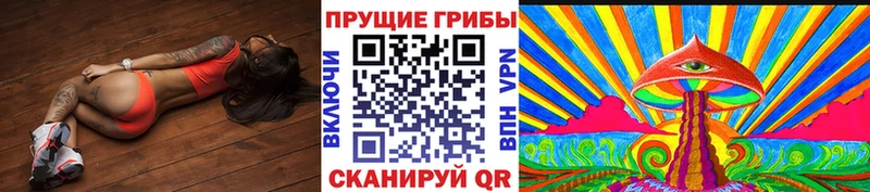 Псилоцибиновые грибы мицелий  где купить наркоту  Приозерск 